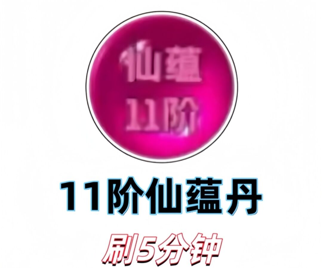 11阶仙蕴单刷5分钟8.88元